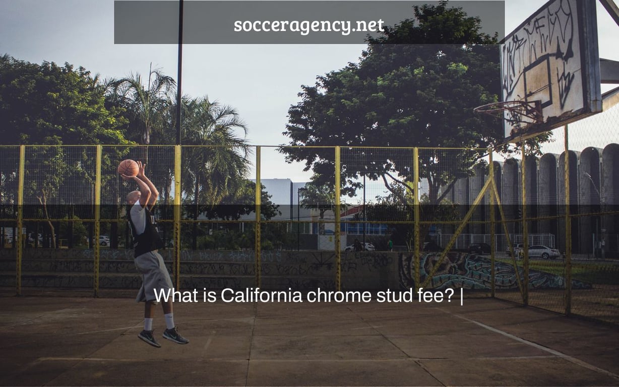 What is California chrome stud fee? |
