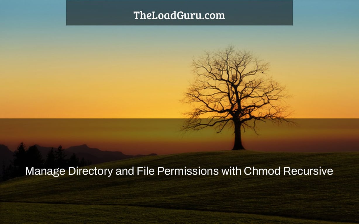 Manage Directory and File Permissions with Chmod Recursive