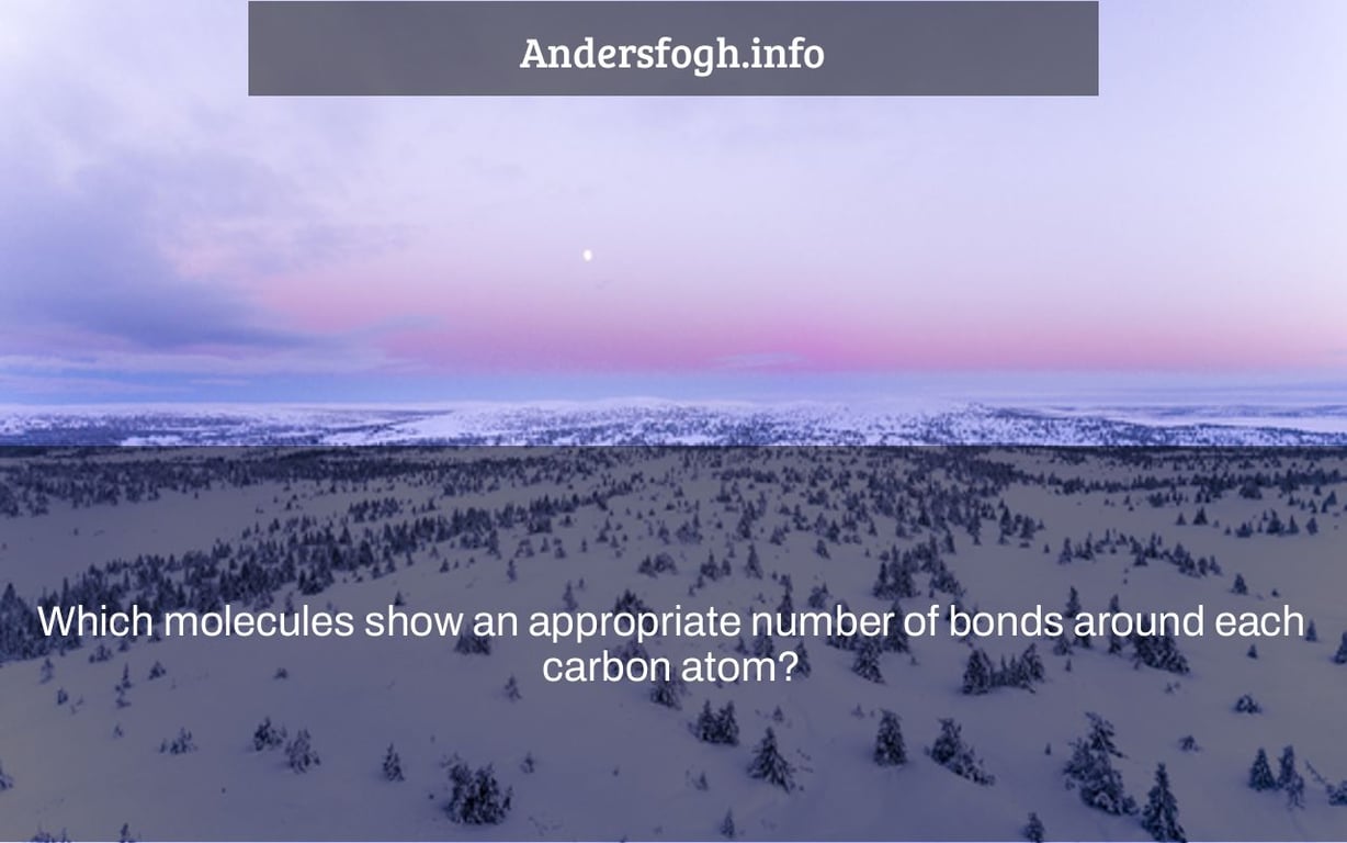 Which molecules show an appropriate number of bonds around each carbon atom?