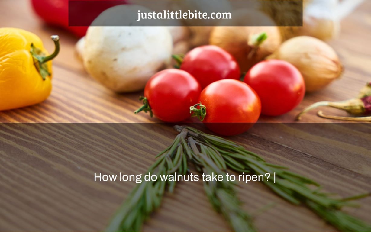 How long do walnuts take to ripen? |