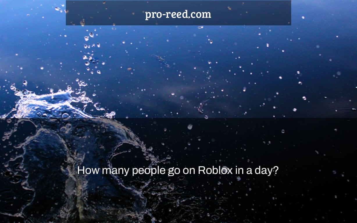 How many people go on Roblox in a day?