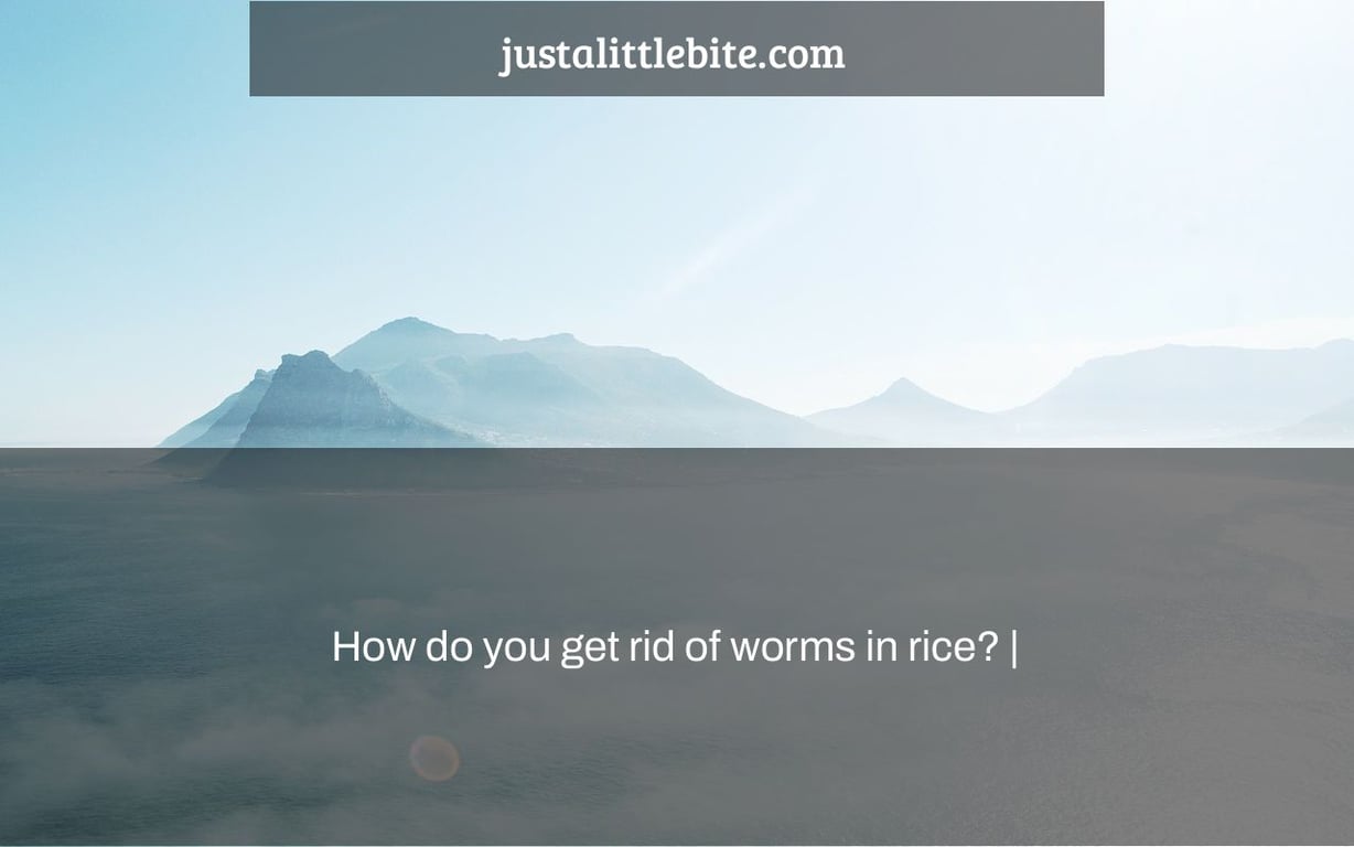 How do you get rid of worms in rice? |