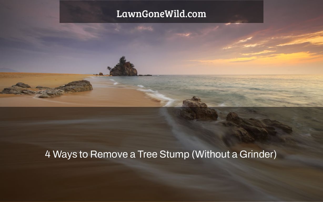 4 Ways to Remove a Tree Stump (Without a Grinder) Lawn Gone Wild