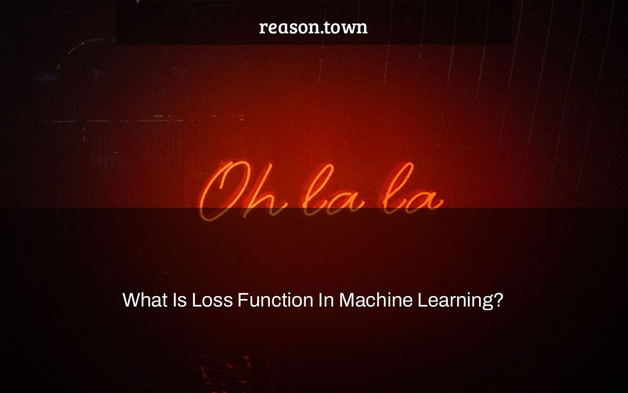 What Is Loss Function In Machine Learning?