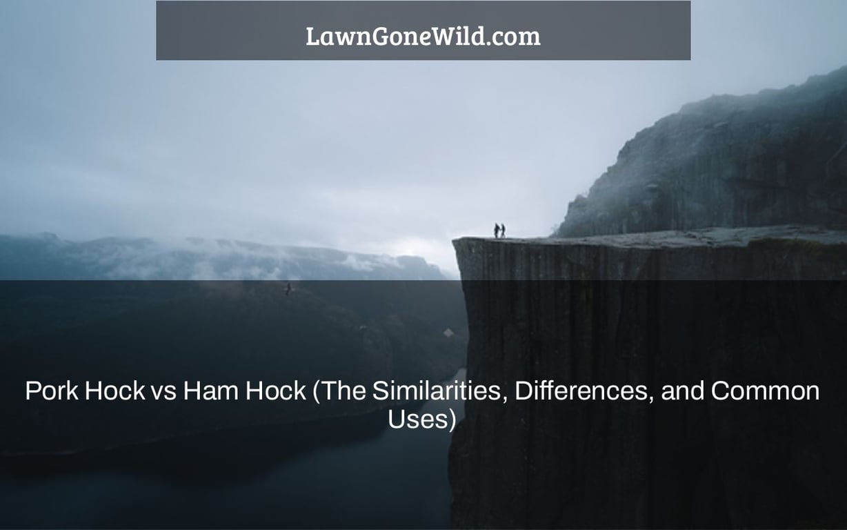 Pork Hock vs Ham Hock (The Similarities, Differences, and Common Uses