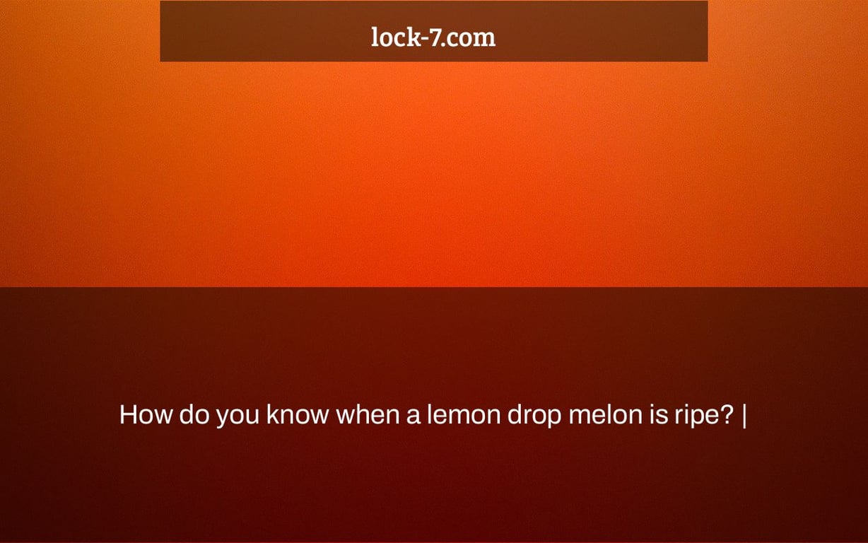 How do you know when a lemon drop melon is ripe? |