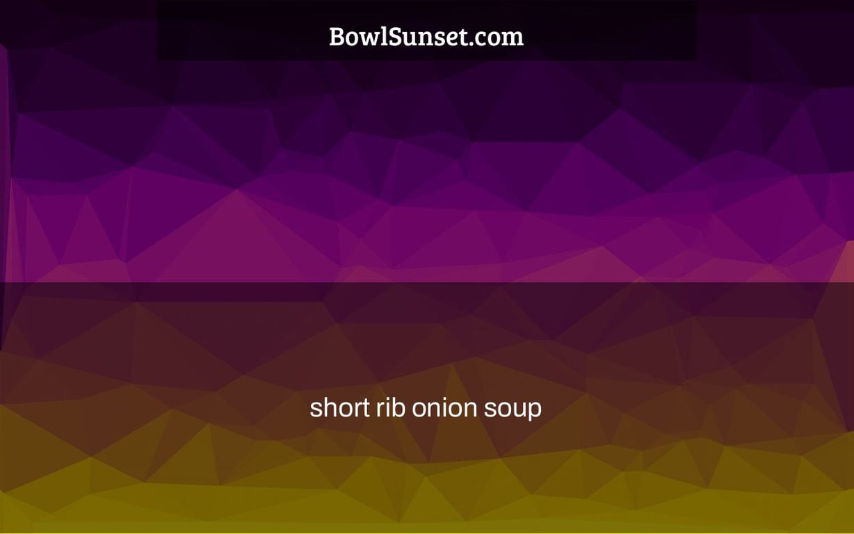 short rib onion soup