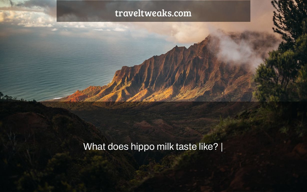 What does hippo milk taste like? |