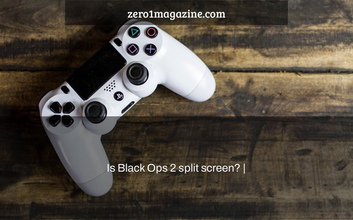 Is Black Ops 2 split screen? |