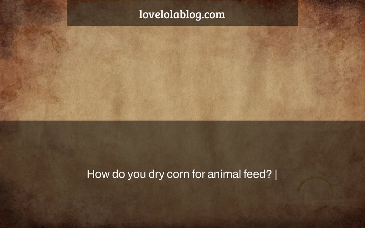 How do you dry corn for animal feed? |