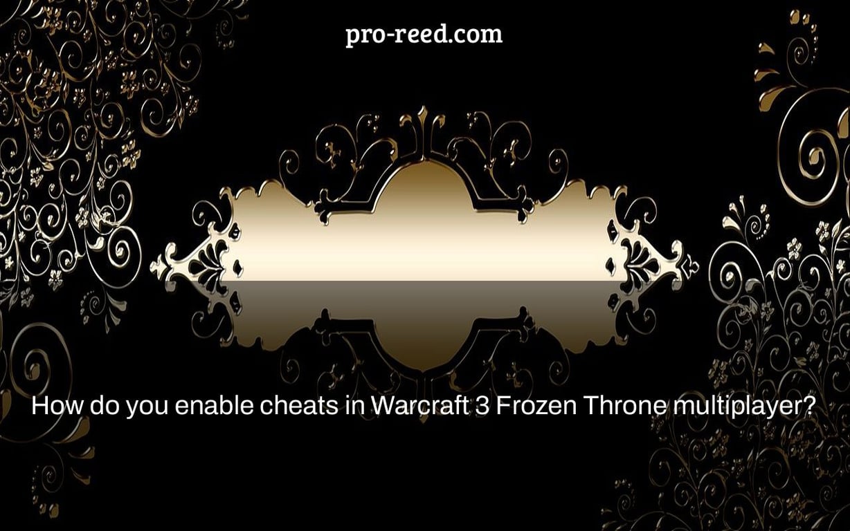 How do you enable cheats in Warcraft 3 Frozen Throne multiplayer?