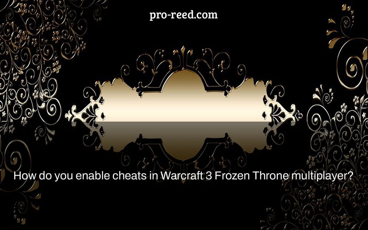 How Do You Enable Cheats In Warcraft 3 Frozen Throne Multiplayer Pro   Public