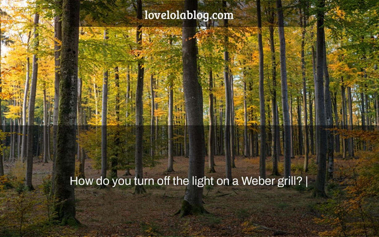 How do you turn off the light on a Weber grill? |
