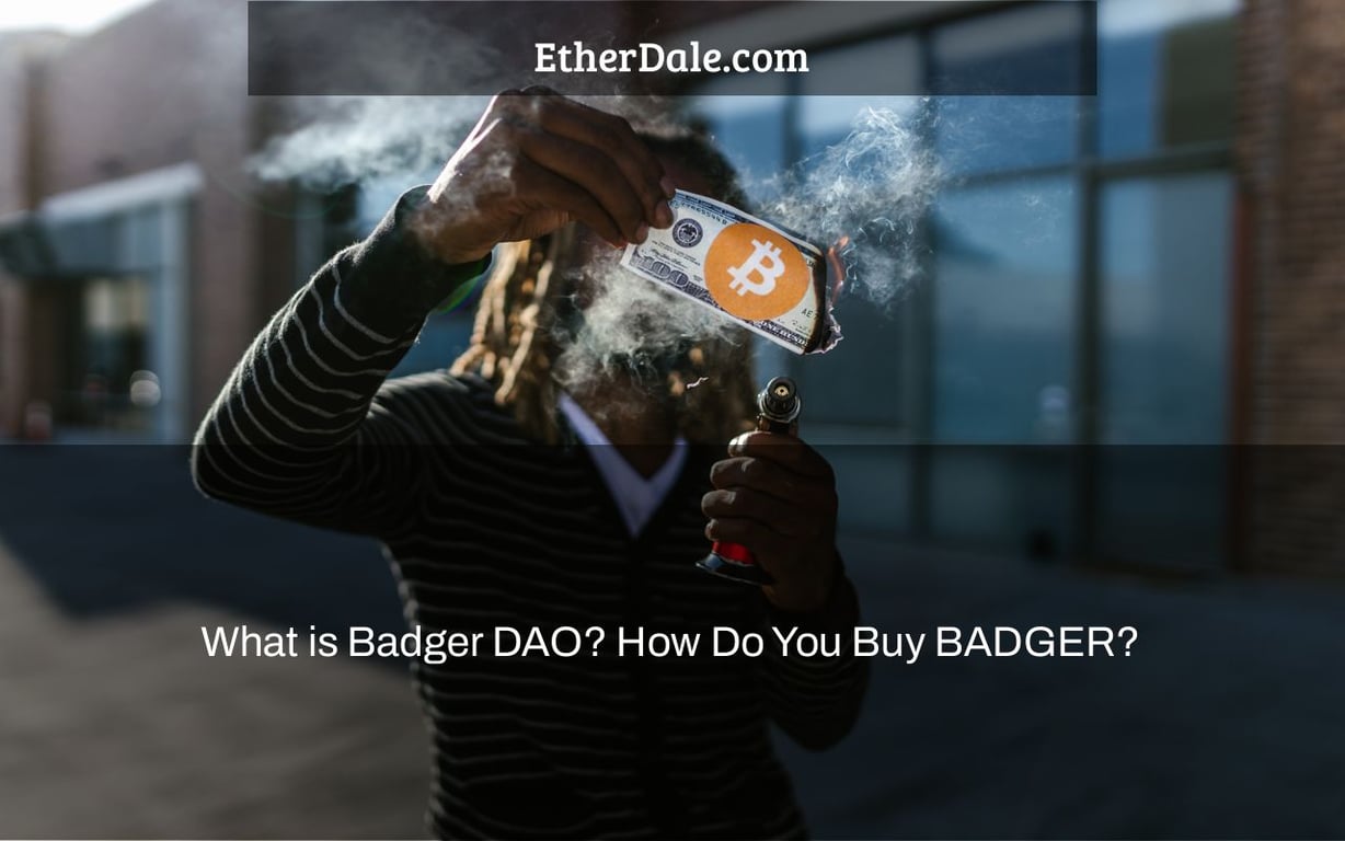 where can i buy badger crypto