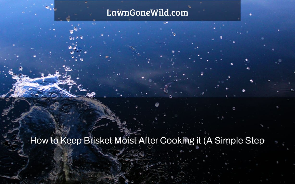 How to Keep Brisket Moist After Cooking it (A Simple Step Lawn Gone Wild