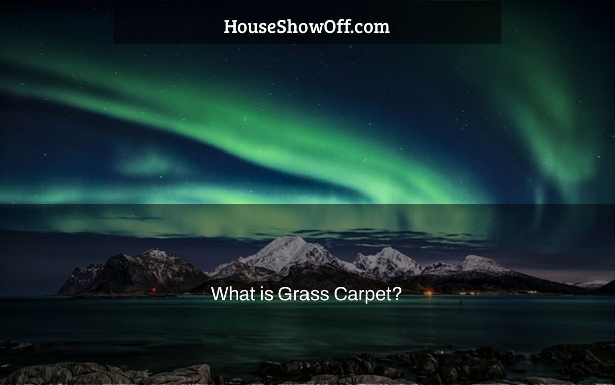 What is Grass Carpet?
