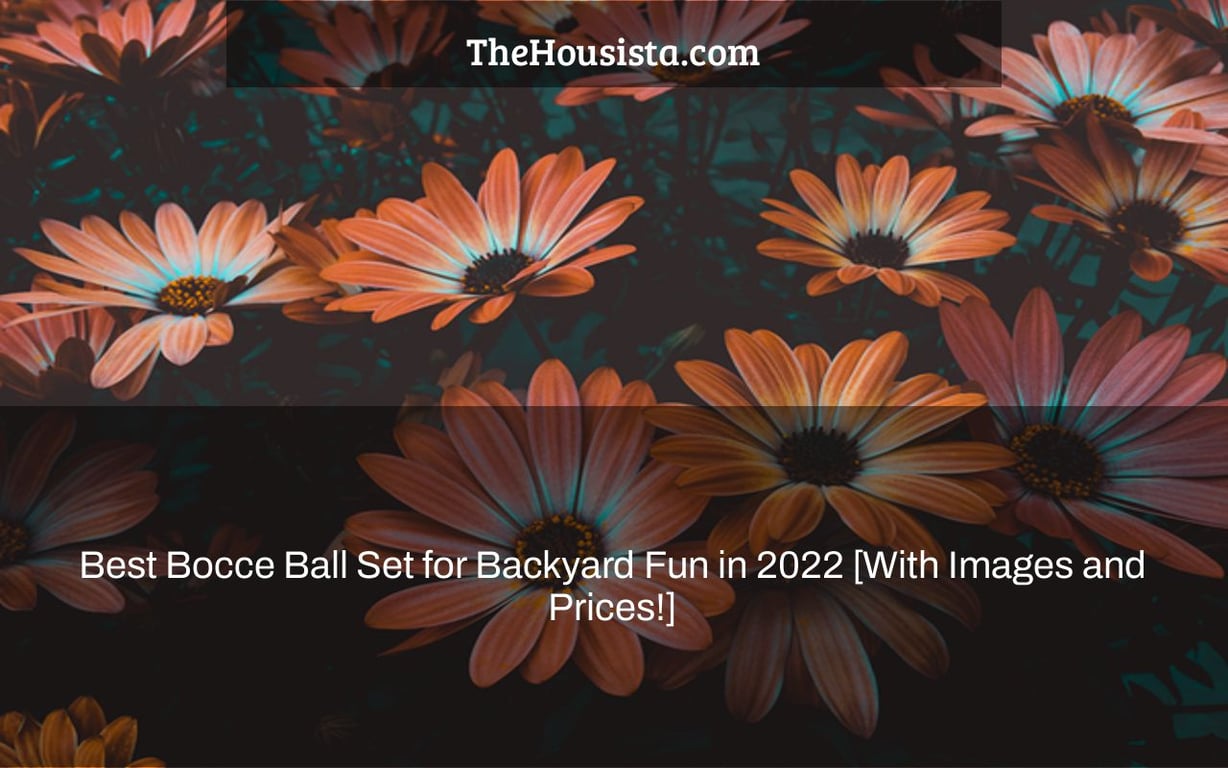 Best Bocce Ball Set for Backyard Fun in 2022 [With Images and Prices!]