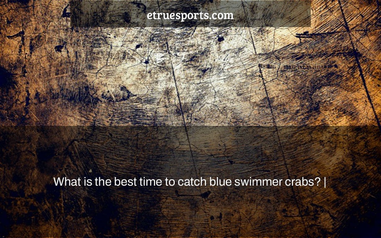 What is the best time to catch blue swimmer crabs? |