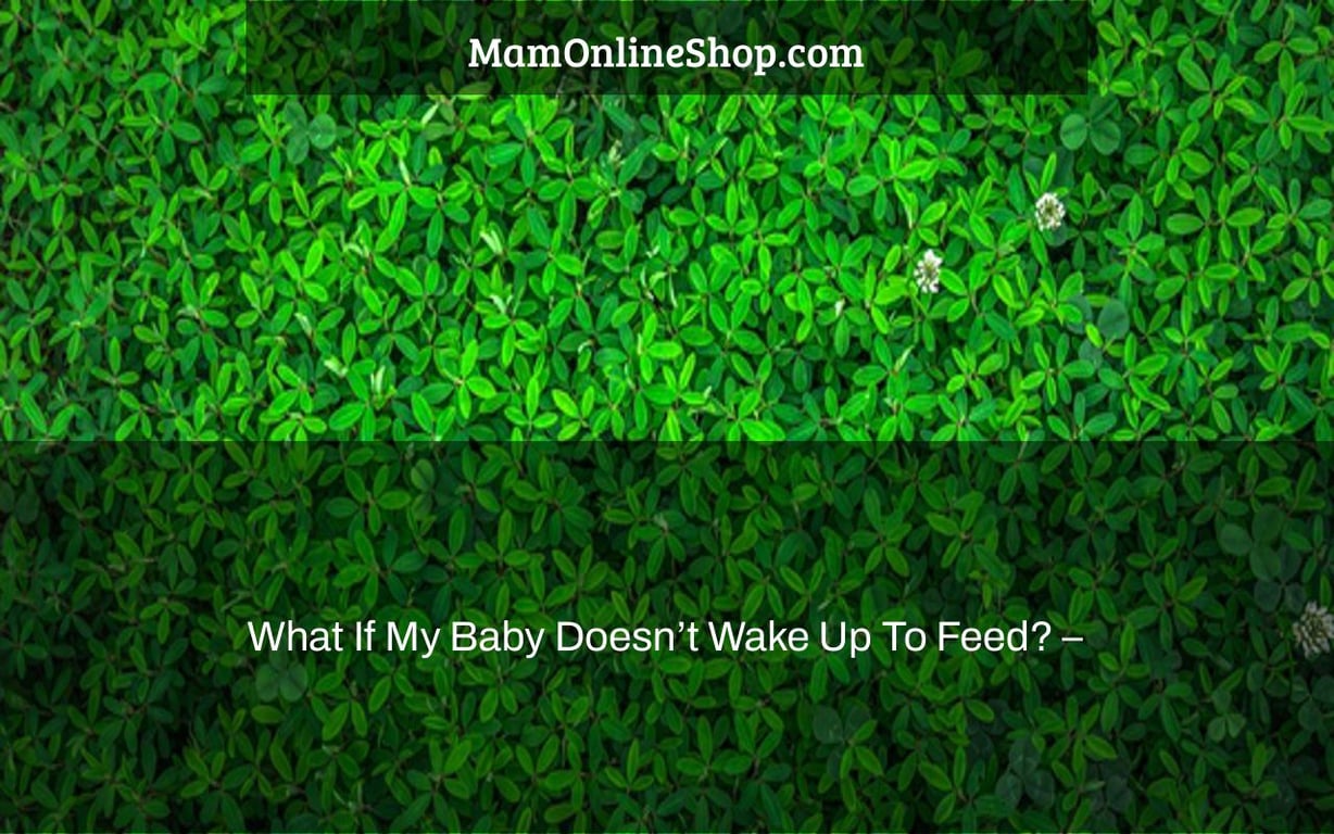 What If My Baby Doesn’t Wake Up To Feed? –