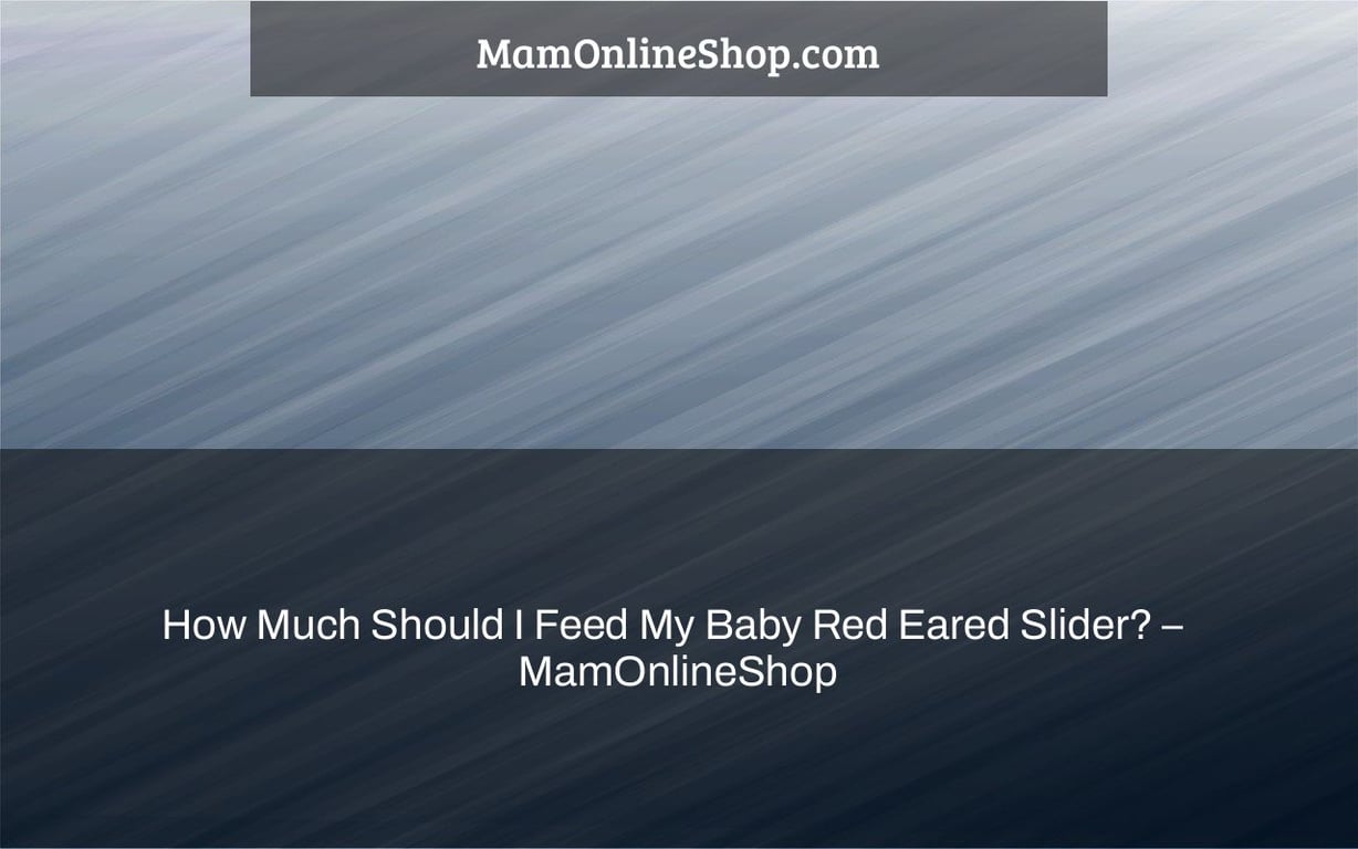 How Much Should I Feed My Baby Red Eared Slider? –  MamOnlineShop
