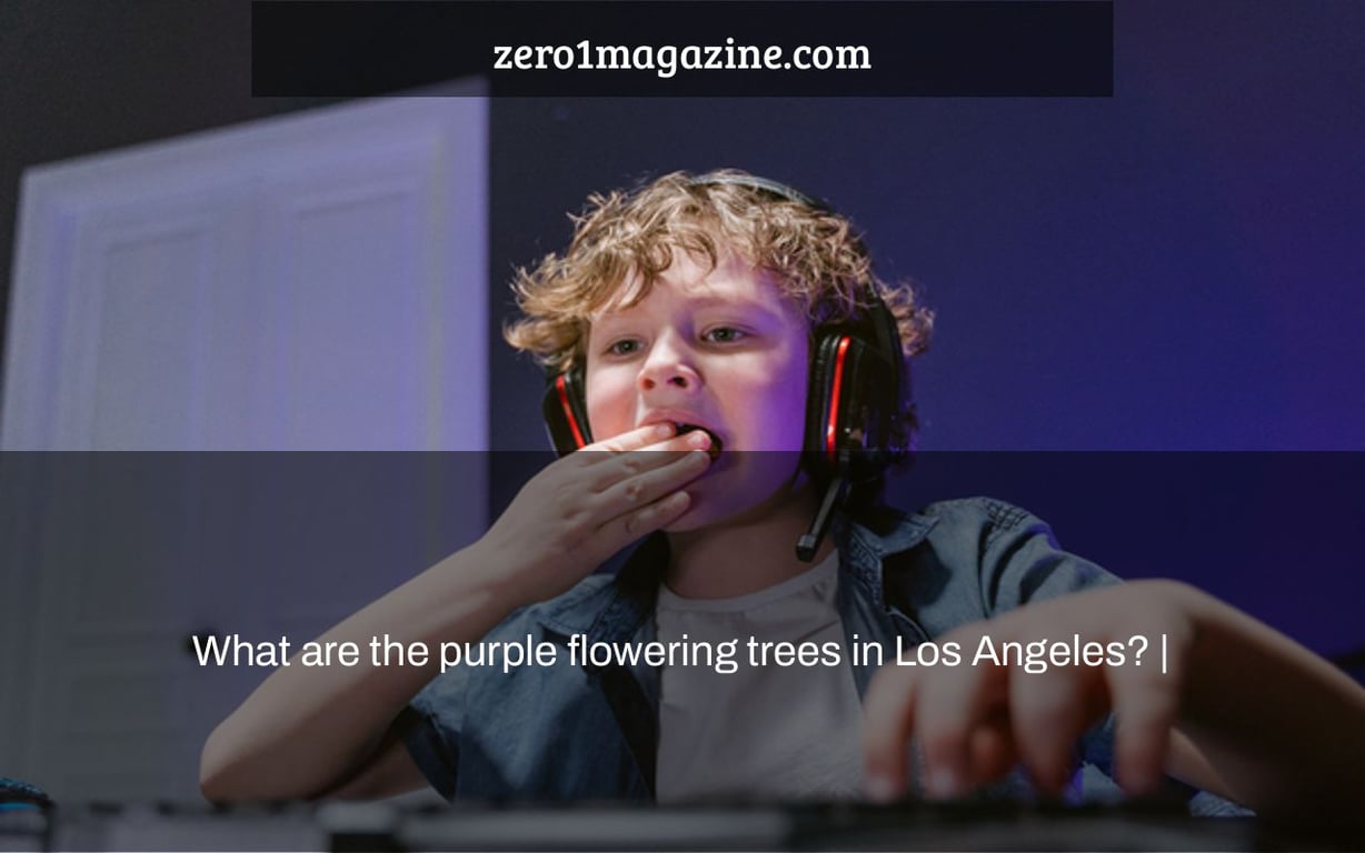 What are the purple flowering trees in Los Angeles? |