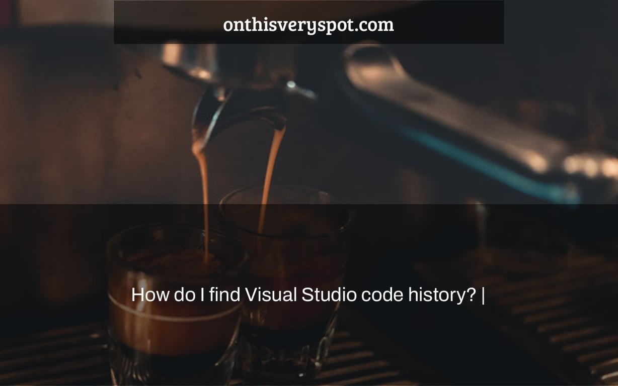 How do I find Visual Studio code history? |