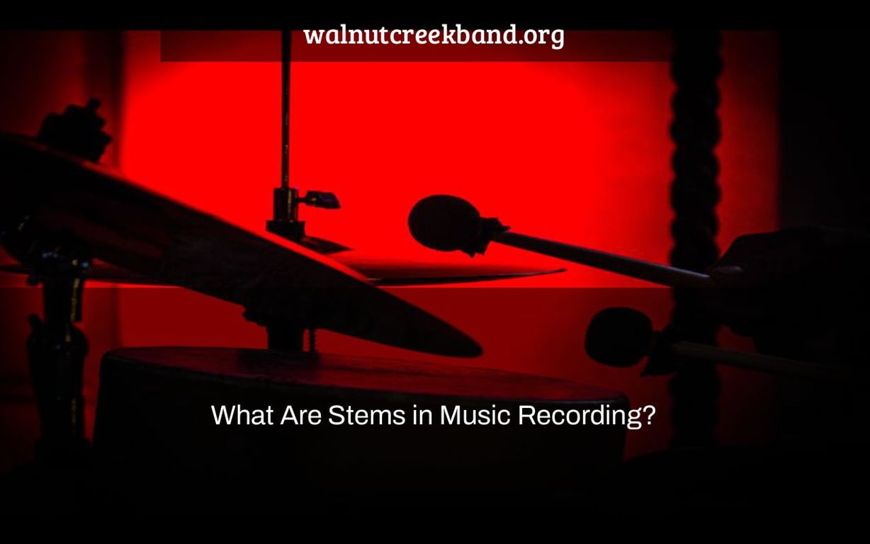 What Are Stems in Music Recording?