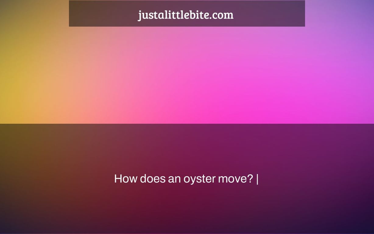 How does an oyster move? |