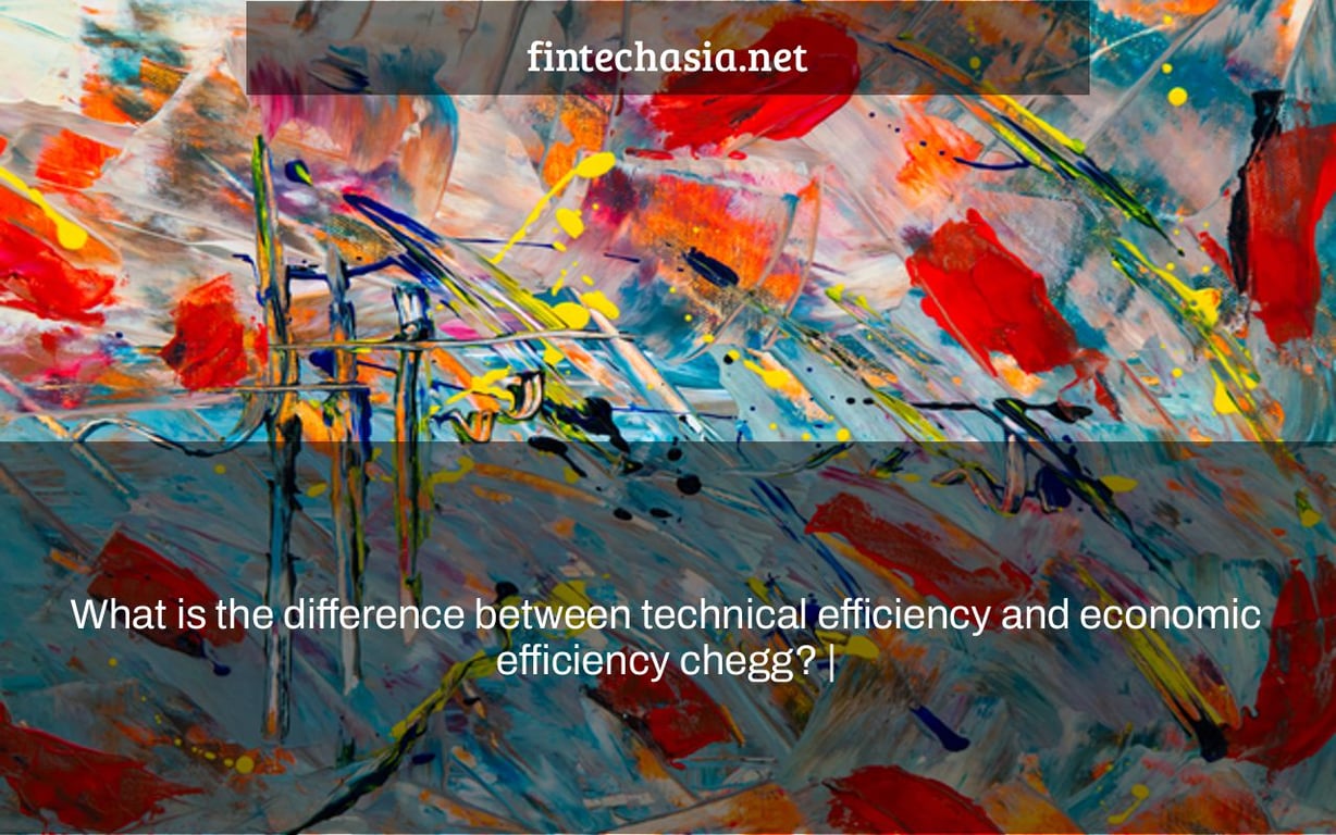 What is the difference between technical efficiency and economic efficiency chegg? |