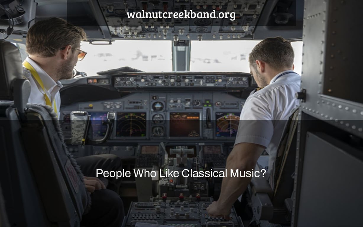 People Who Like Classical Music?