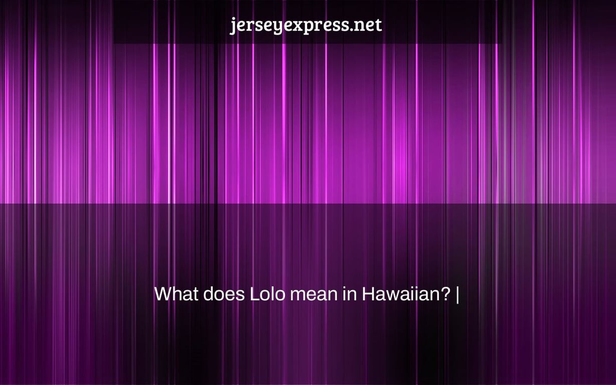 What does Lolo mean in Hawaiian? |