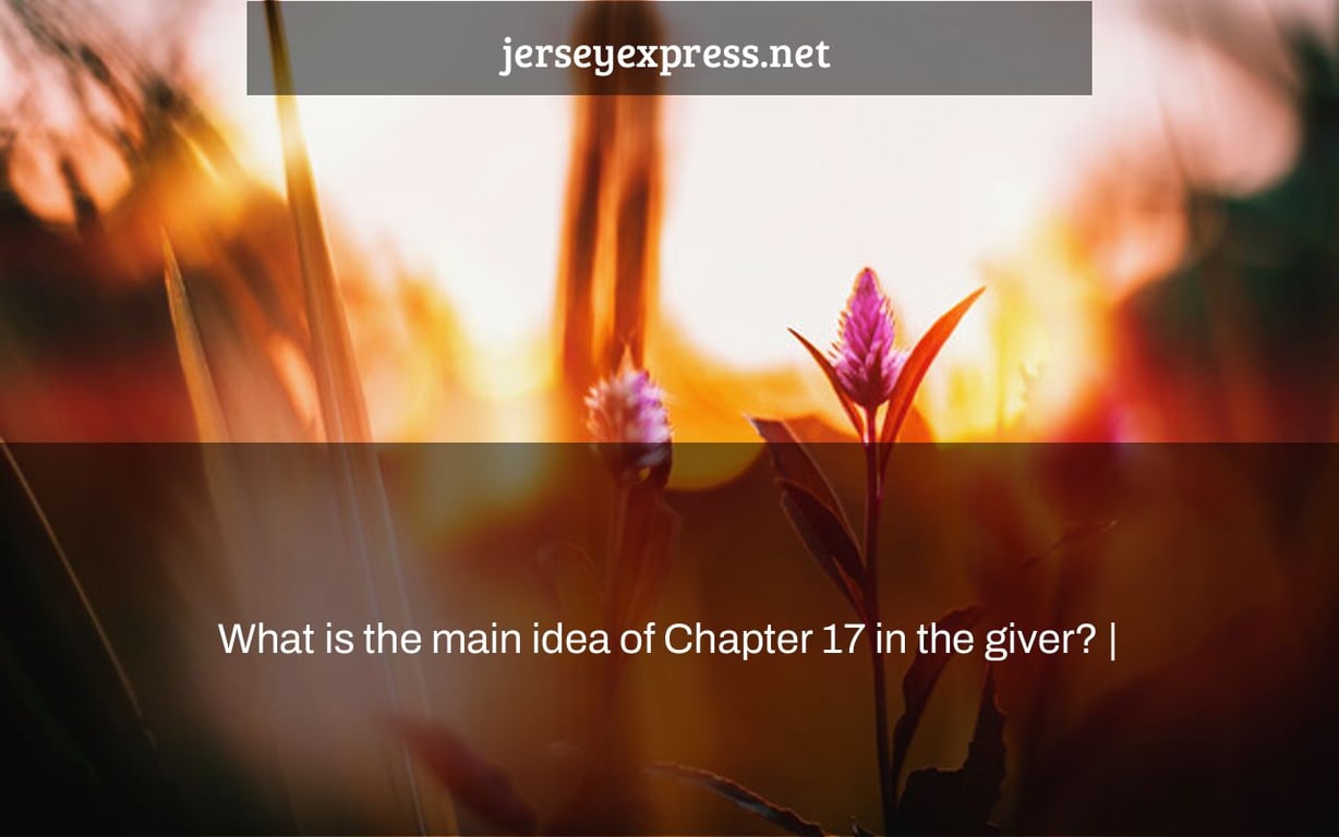 What is the main idea of Chapter 17 in the giver? |