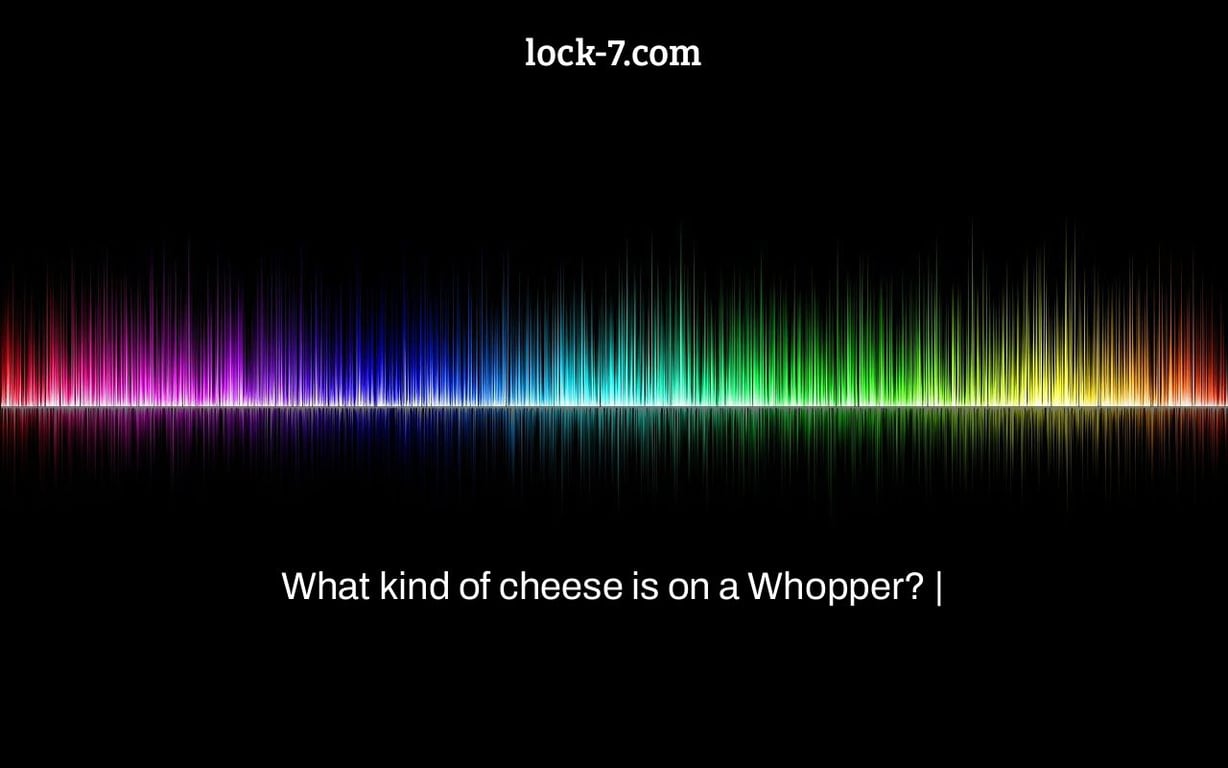 What kind of cheese is on a Whopper? |