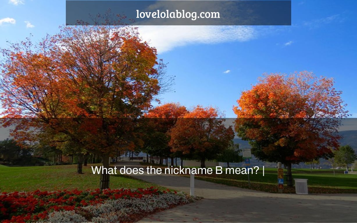 What does the nickname B mean? Love Lola Blog
