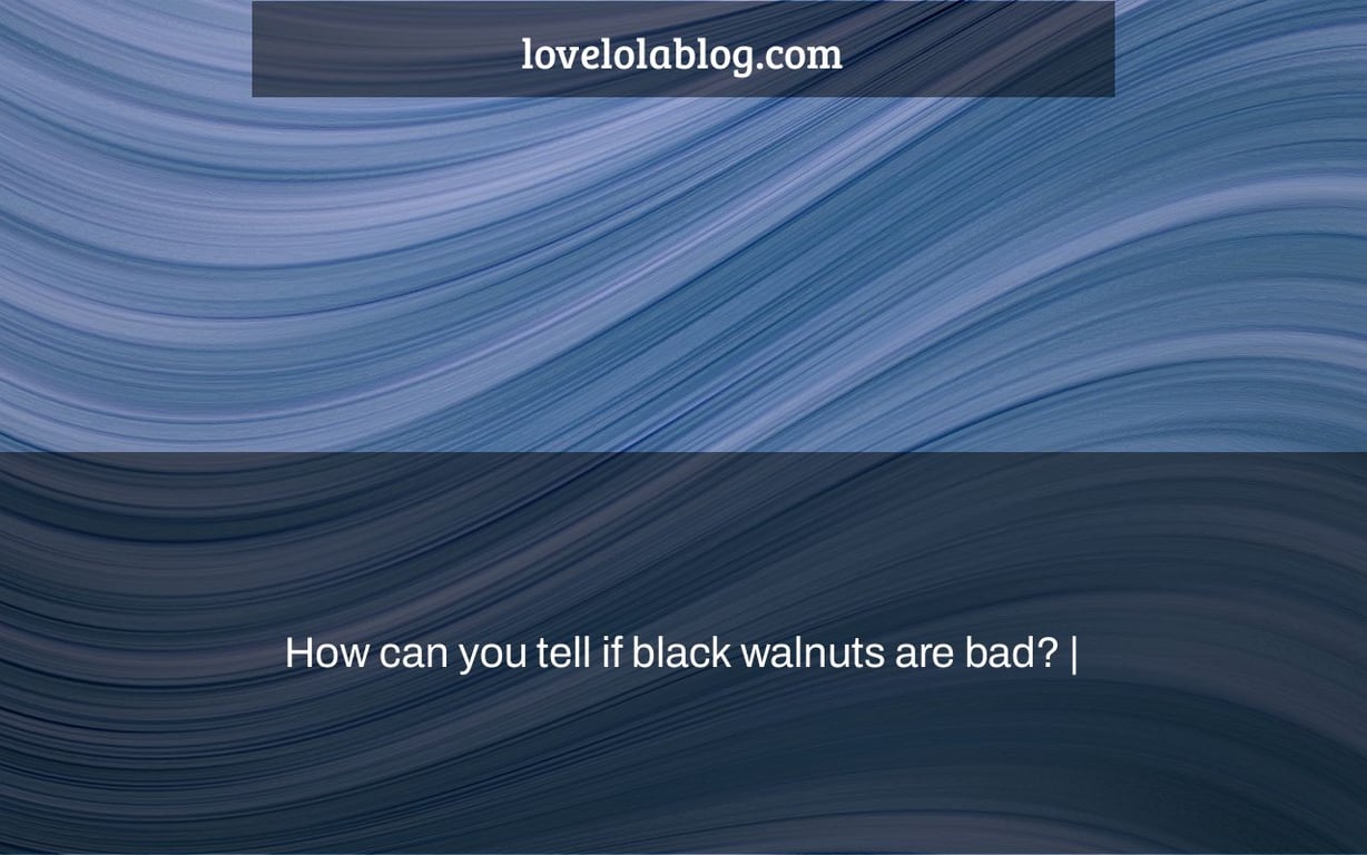 How can you tell if black walnuts are bad? |