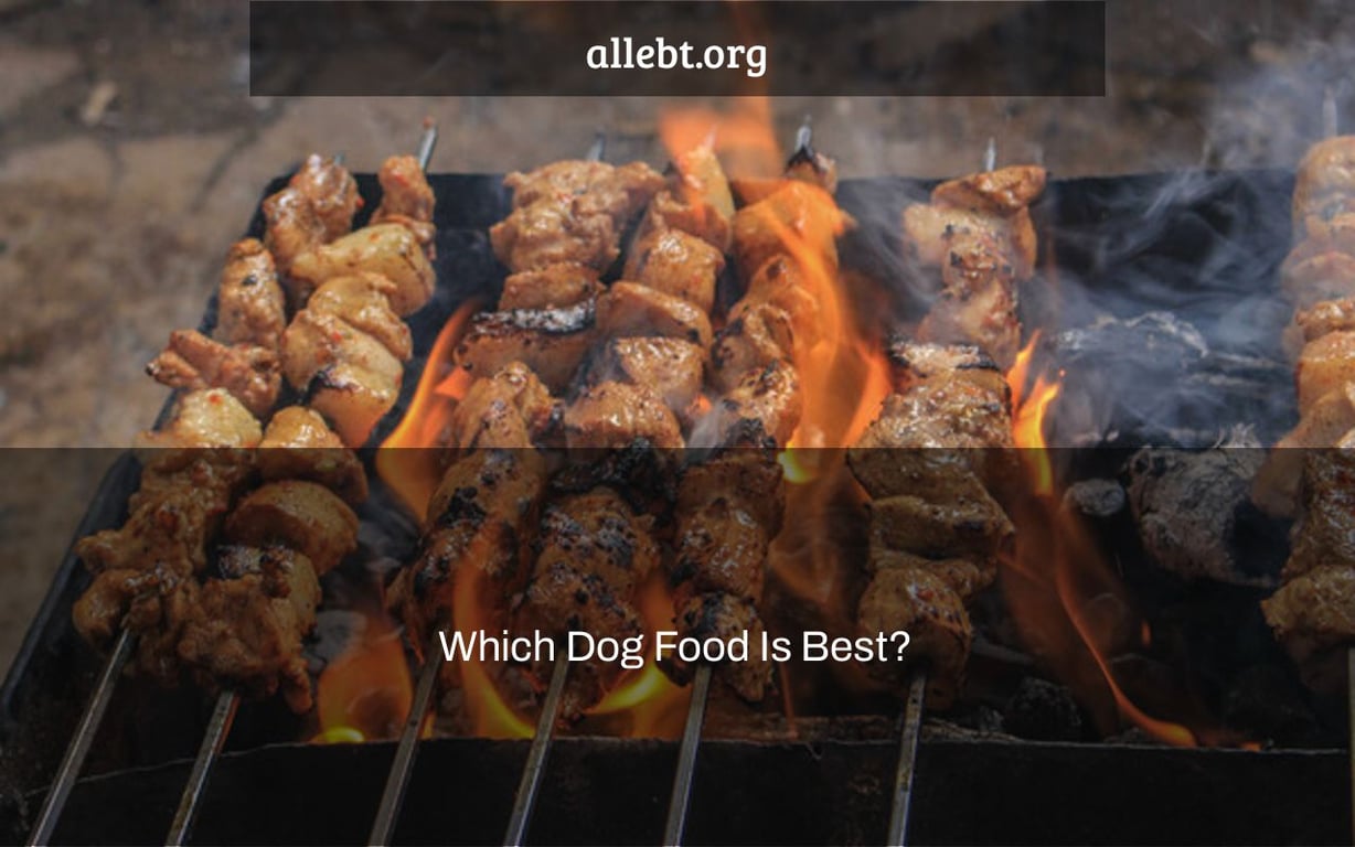 Which Dog Food Is Best?