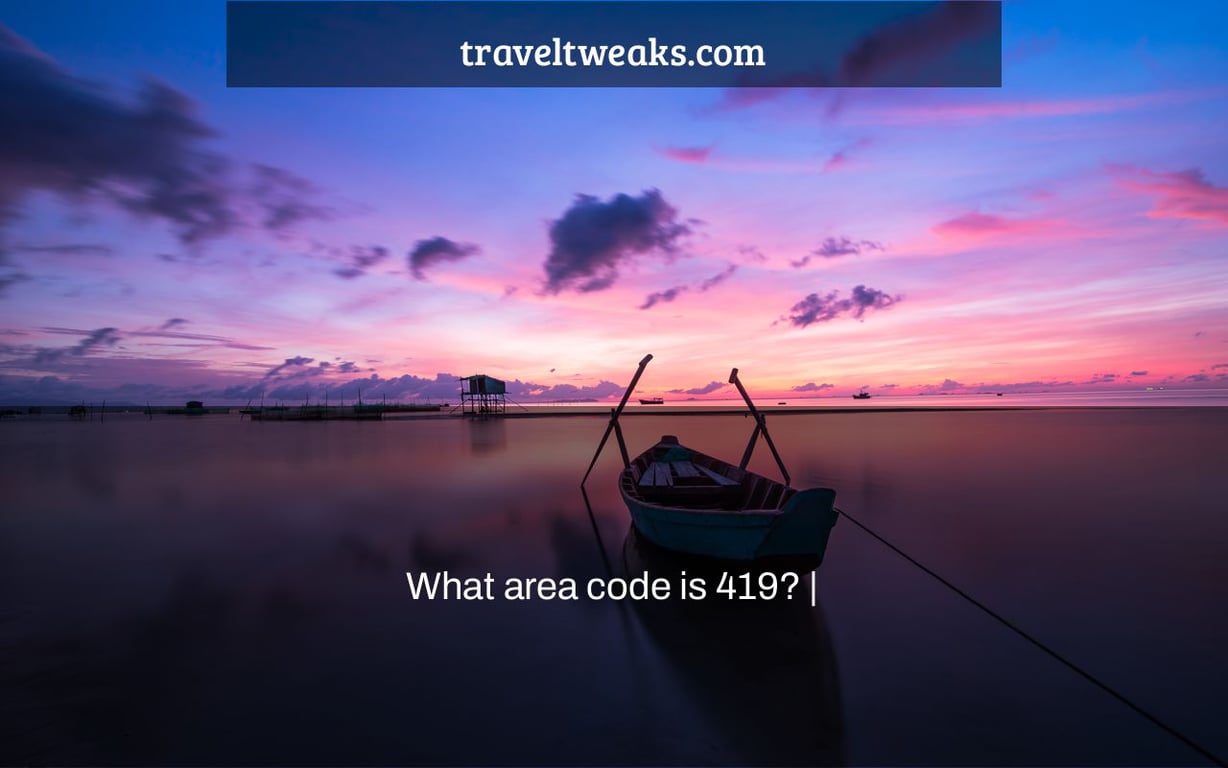 What area code is 419? |