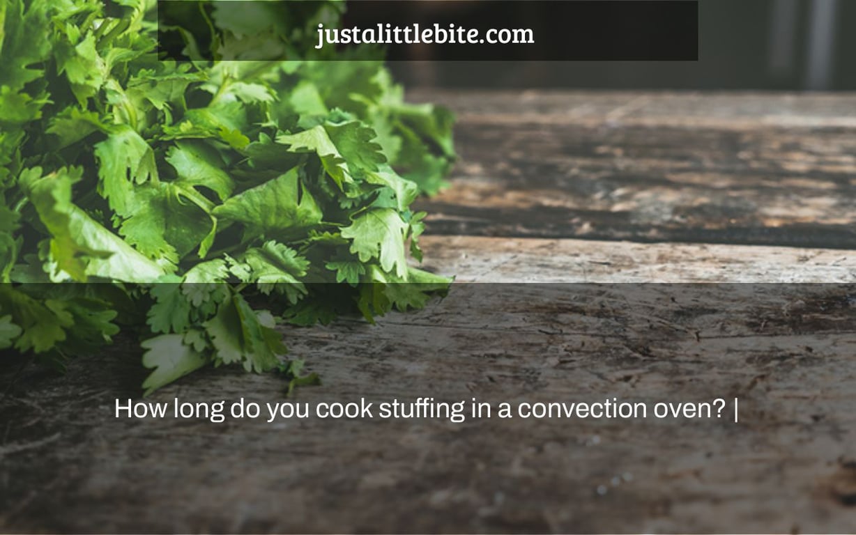 How long do you cook stuffing in a convection oven? |