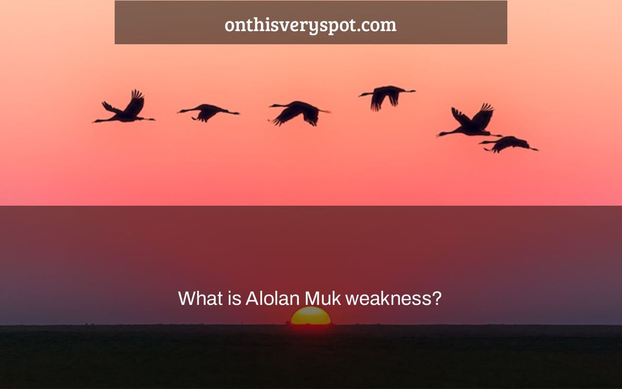 What is Alolan Muk weakness?