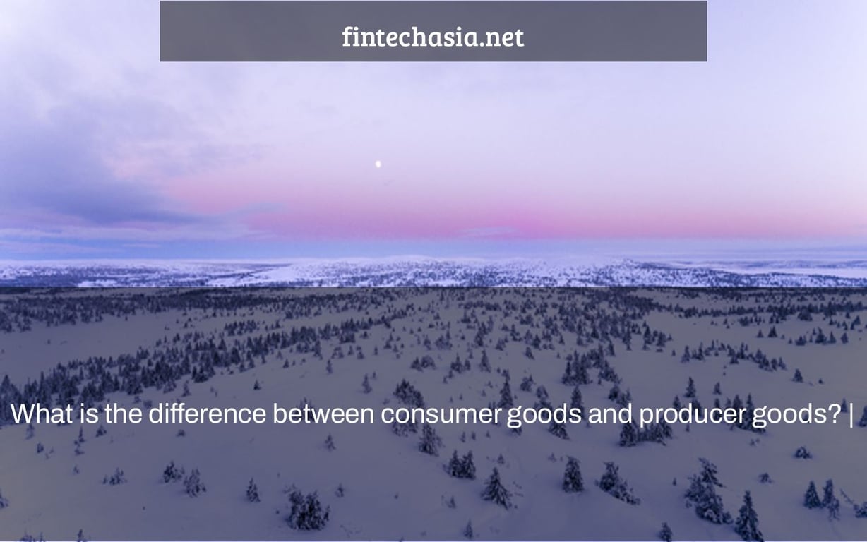 What is the difference between consumer goods and producer goods? |