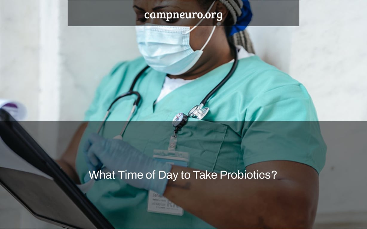What Time of Day to Take Probiotics?