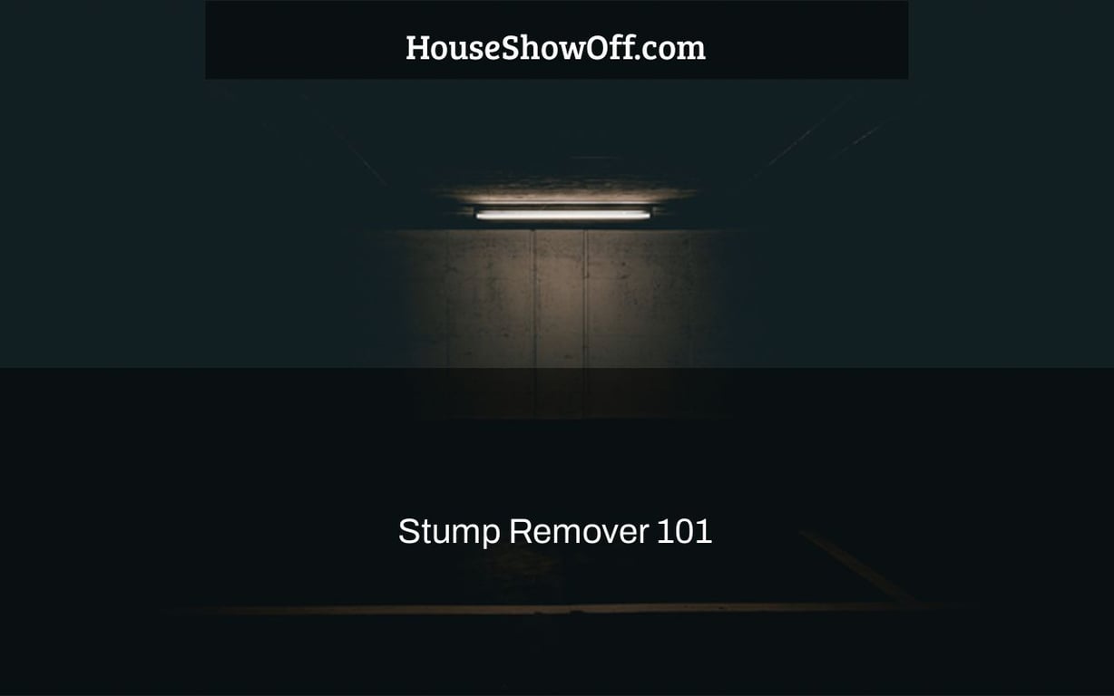 How To Remove A Tree Stump Without A Grinder: Easy-Follow Guide 2022