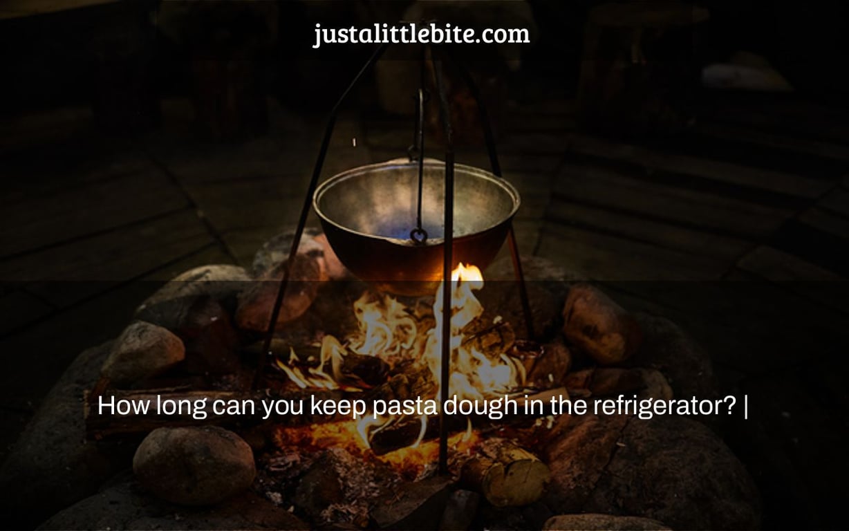 How long can you keep pasta dough in the refrigerator? JustALittleBite