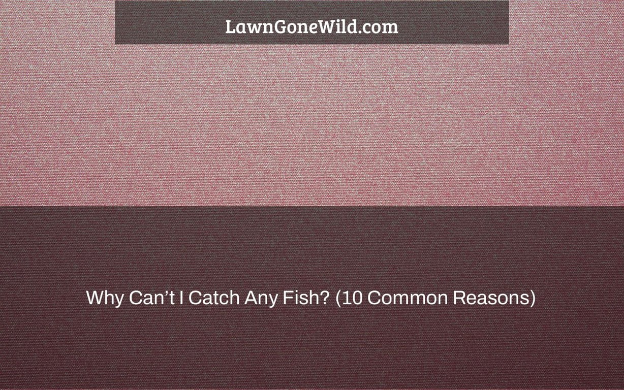 Why Can’t I Catch Any Fish? (10 Common Reasons) Lawn Gone Wild