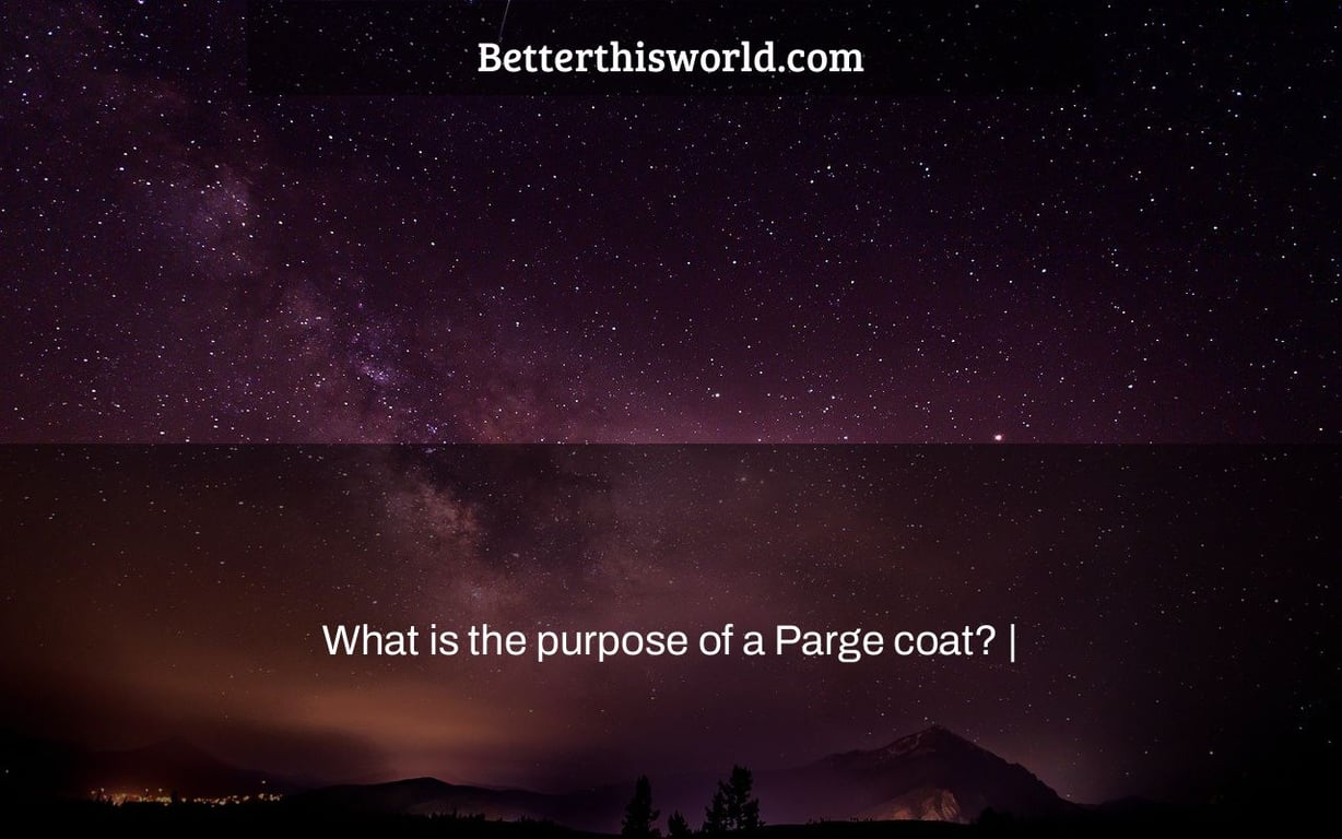 What is the purpose of a Parge coat? Better This World