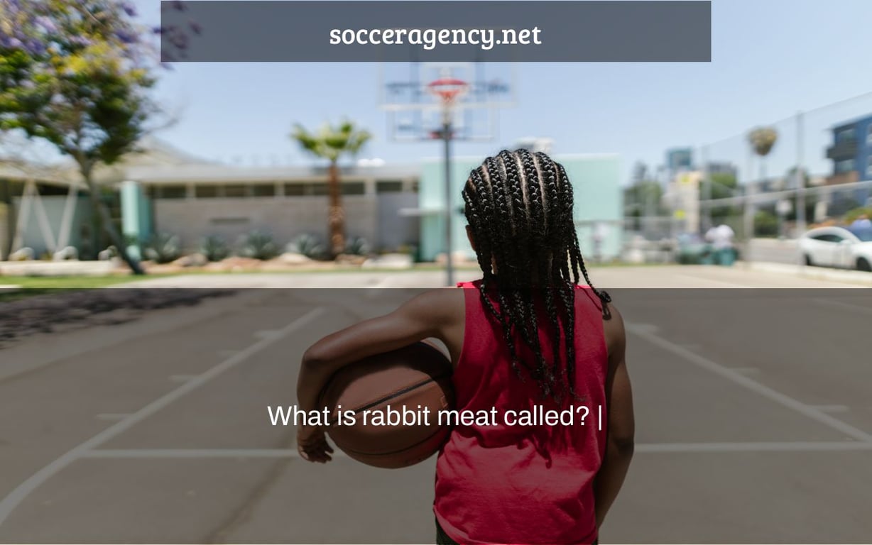 What is rabbit meat called? |