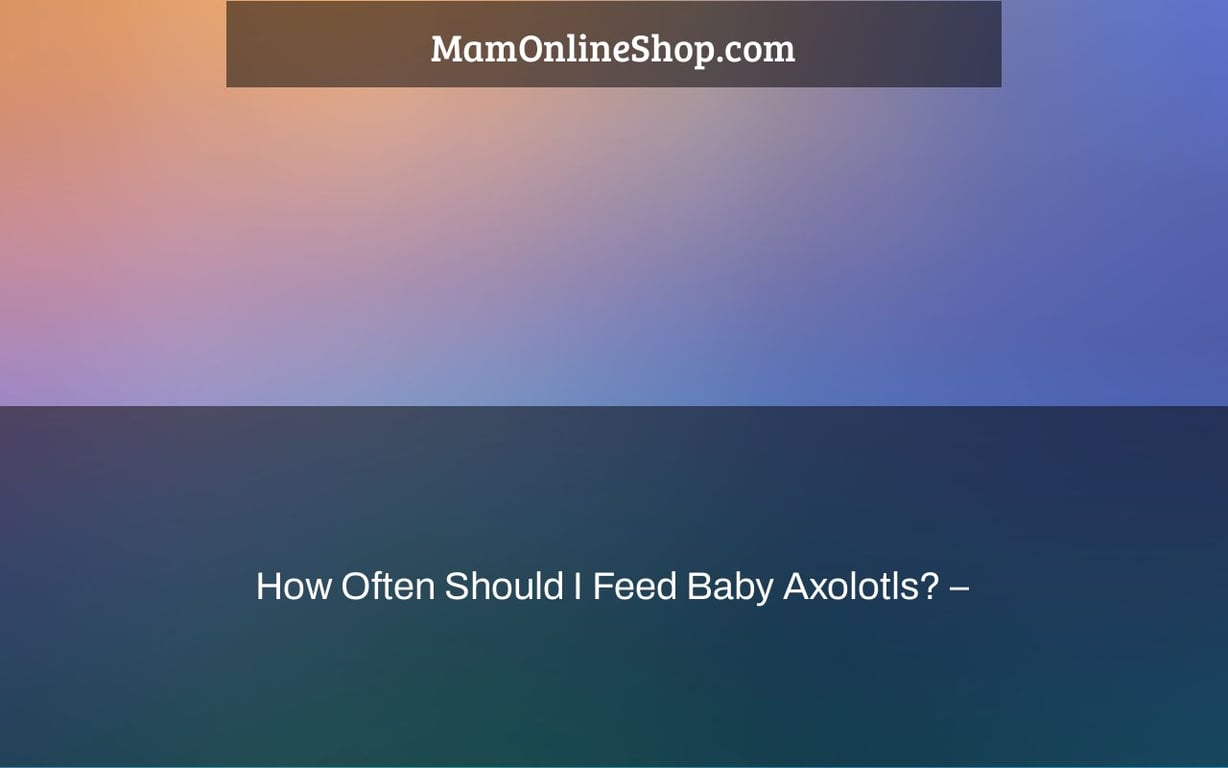 How Often Should I Feed Baby Axolotls? –