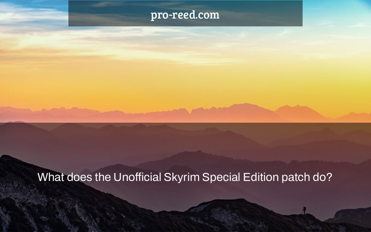 What does the Unofficial Skyrim Special Edition patch do?