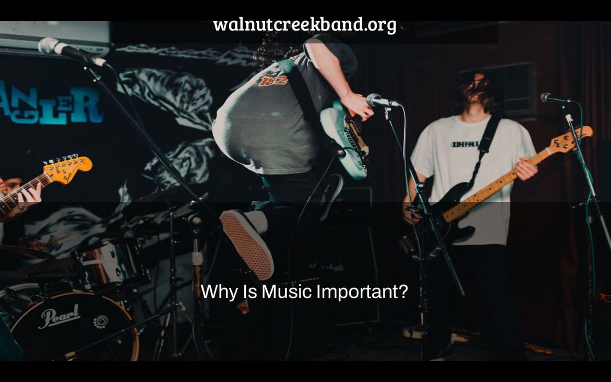 Why Is Music Important?