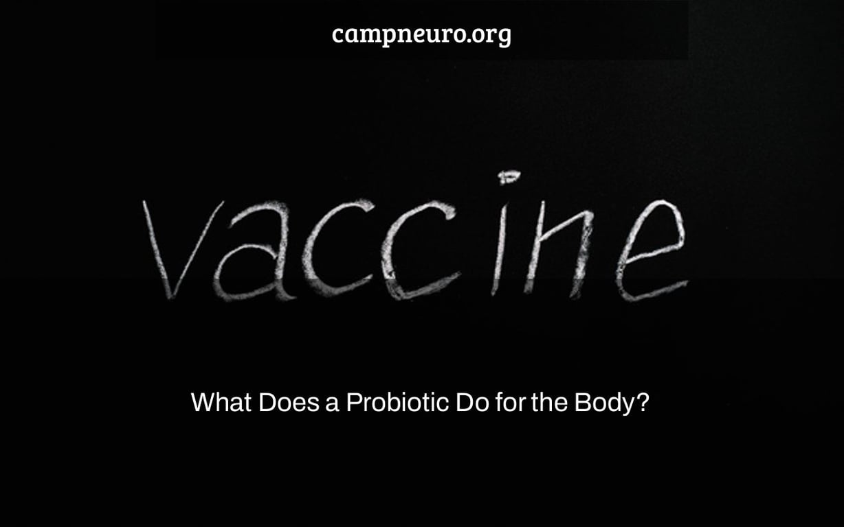 What Does a Probiotic Do for the Body?